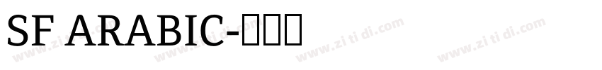 SF ARABIC字体转换